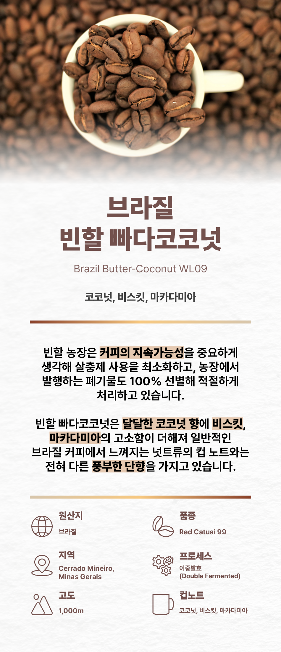 브라질 빈할 빠다코코넛